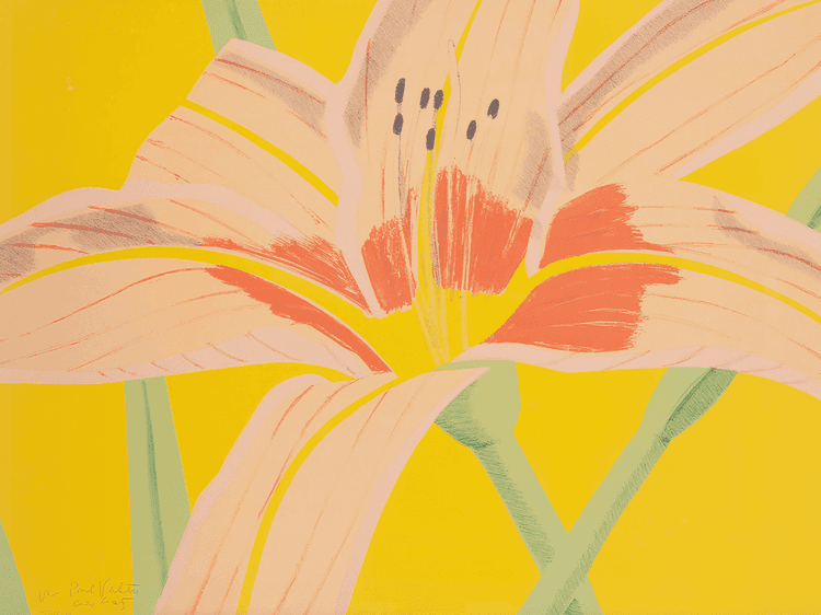 Day Lily II