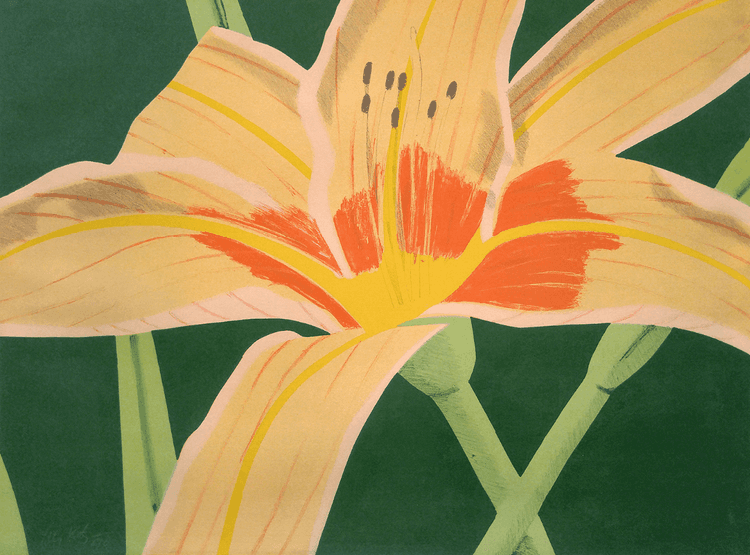 Day Lily I