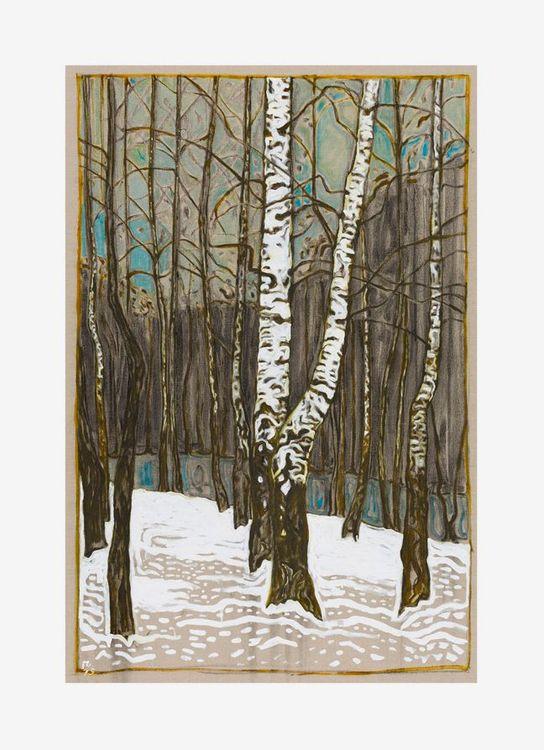 Birch Woods In Winter