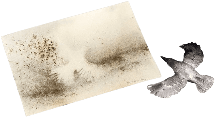 Murmuration