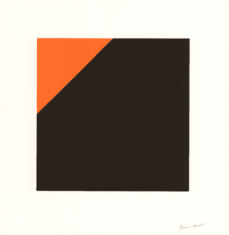 Negro y Naranja