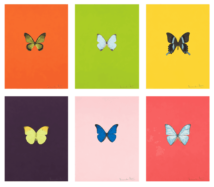 New Beginnings (Complete Set)
