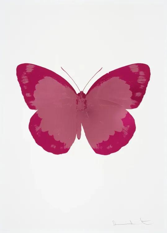 The Souls II - Loganberry Pink - Fuchsia Pink -Blind Impression