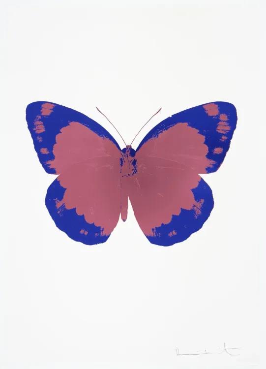 The Souls II - Loganberry Pink - Westminster Blue - Blind Impression