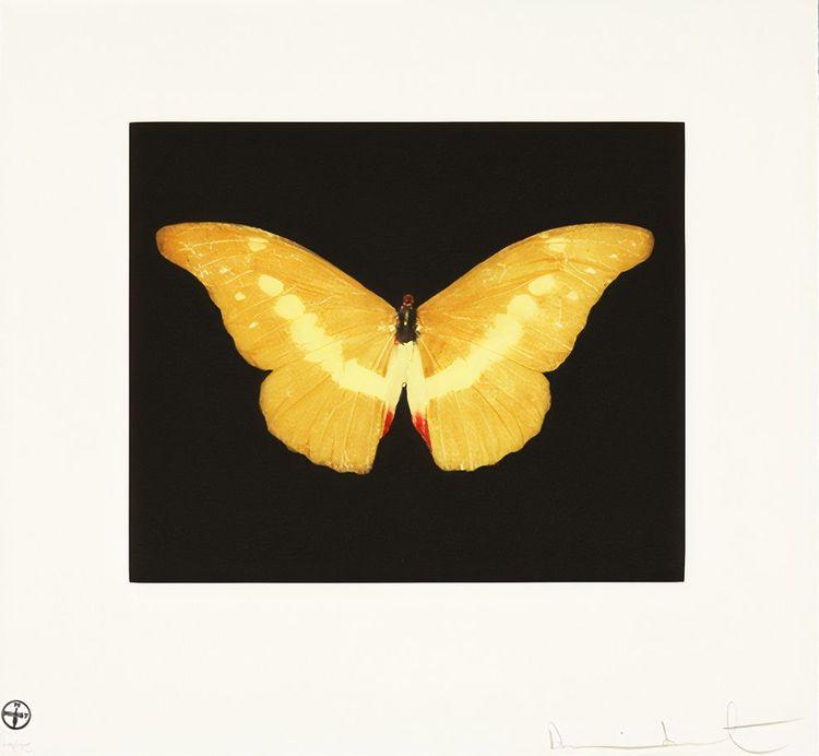 To Lure (Yellow)