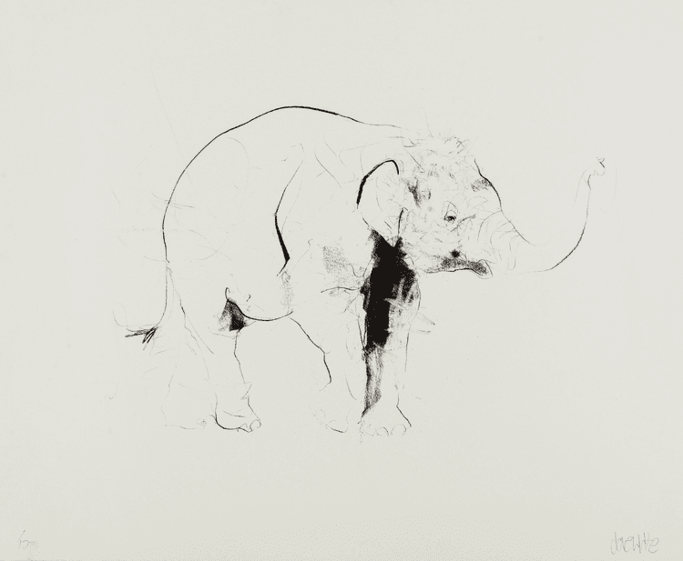 Elephant II