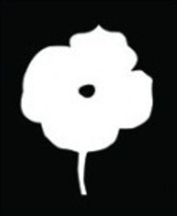 12 Colors (Tan Flower)