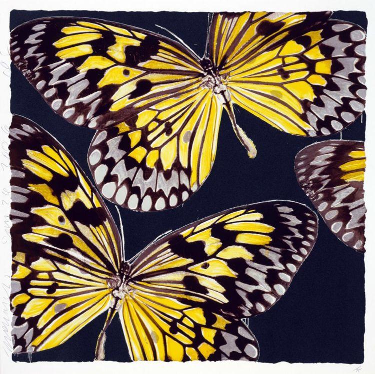Monarchs, Jan 26, 2006