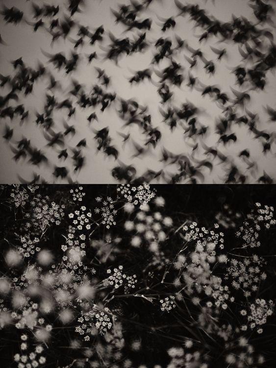 Gaia Diptych 45 (Small)
