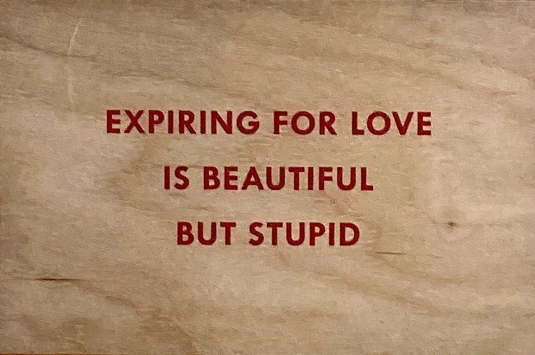 Expiring for Love is Beautiful But Stupid Wooden Postcard