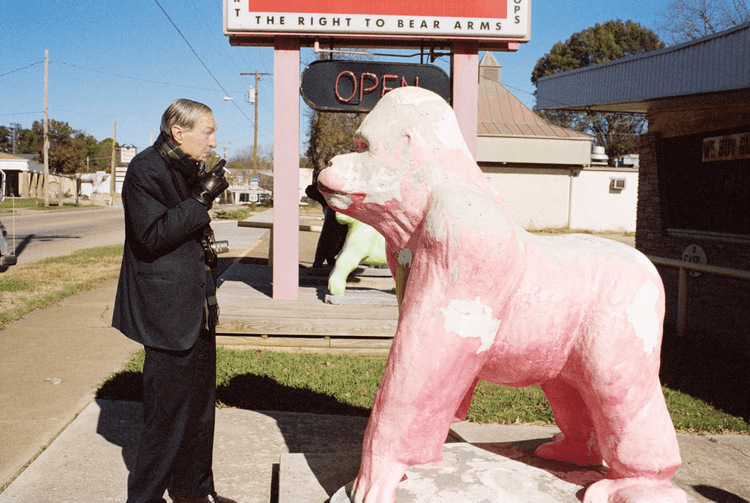 William Eggleston and Pink Gorilla, Memphis