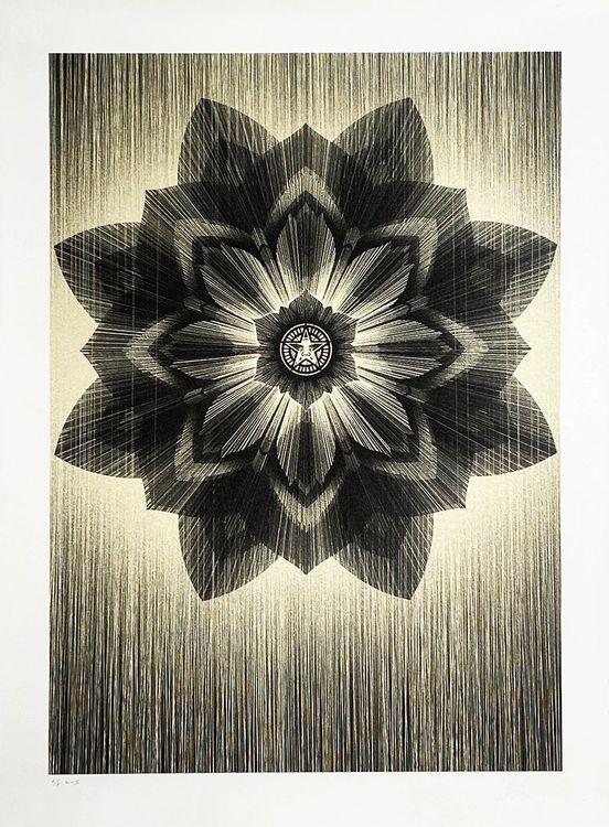 Black & Gold Stardust (Obey x Kai & Sunny)