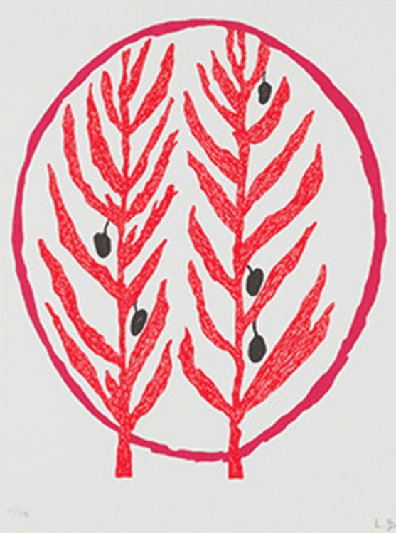 The Olive Branch