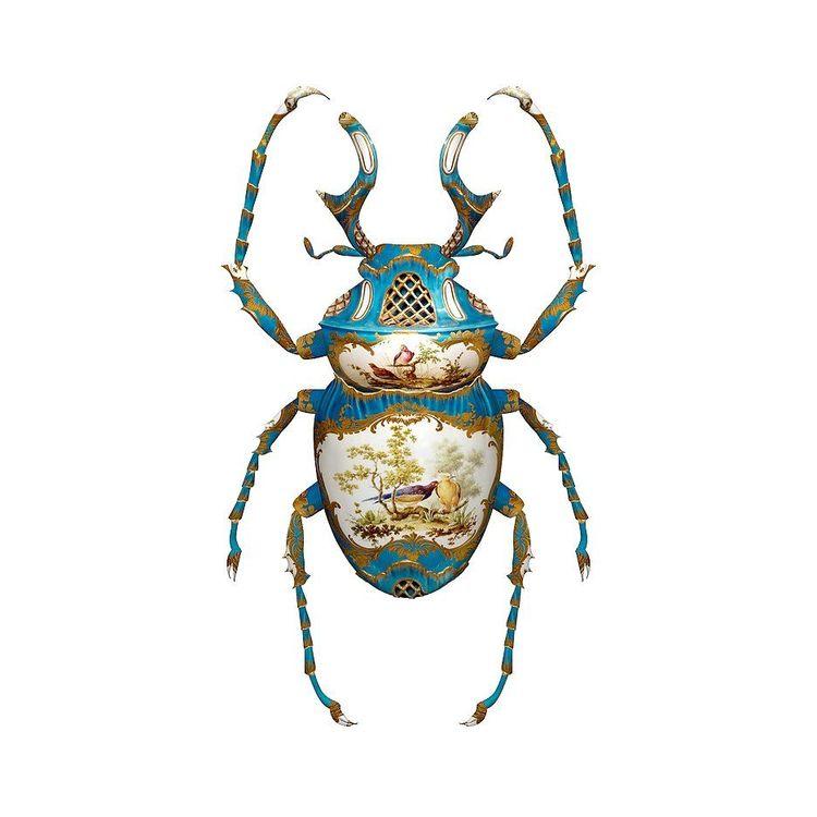 Sevres Dicranocephalus Wallichii