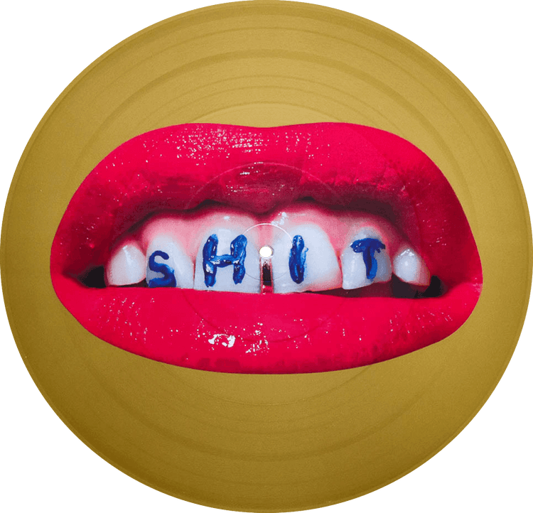 Daft Punk Toiletpaper Da Funk Teacher (Record)
