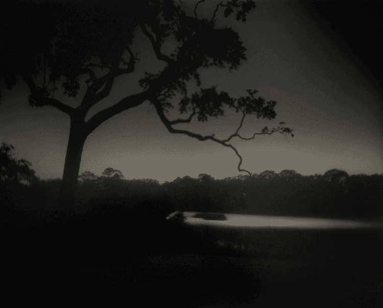Deep South, Untitled (Weyanoke Estate, Louisiana)