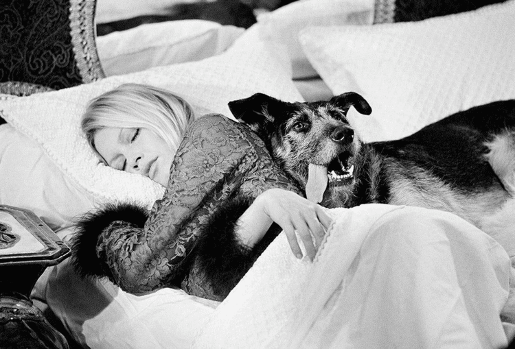 Brigitte Bardot with Dog (CO-SIGNED EDITIONS)