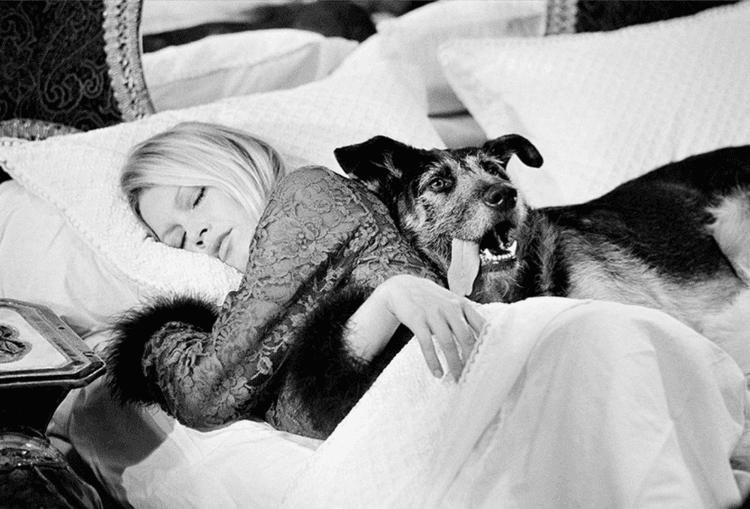 Brigitte Bardot with Dog (Signed by Terry O'Neill)