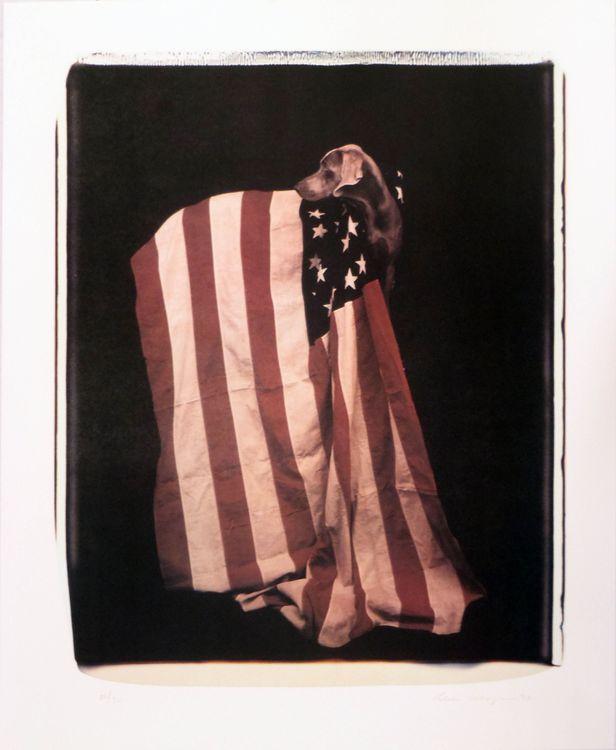 Profiles in Patriotism (from Freedom of Expression)